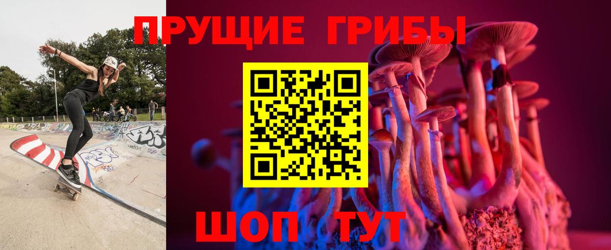 Чита  Псилоцибиновые грибы GOLDEN TEACHER  Вход с VPN 